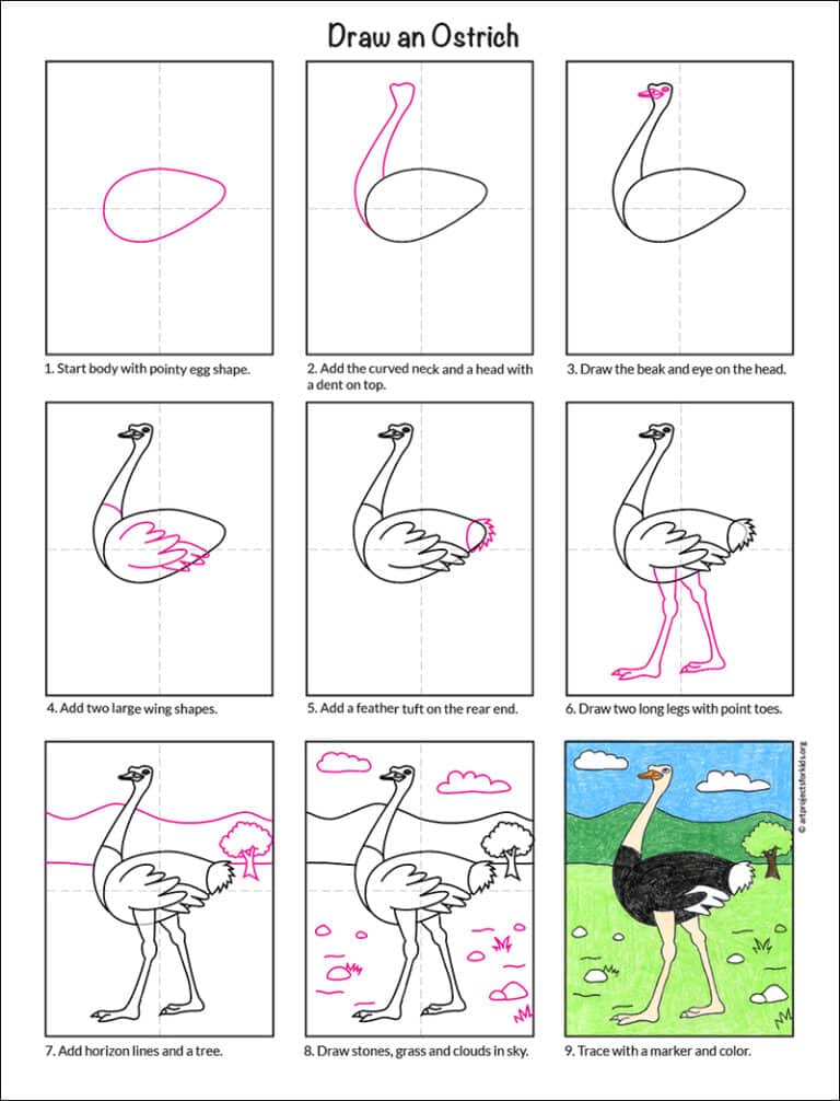 Easy How to Draw an Ostrich Tutorial and Ostrich Coloring Page