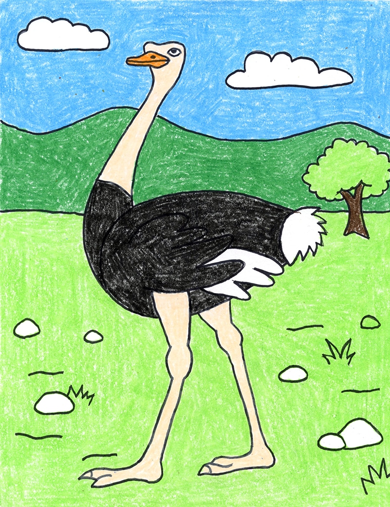 Simple How you can Draw an Ostrich Tutorial and Ostrich Coloring Web