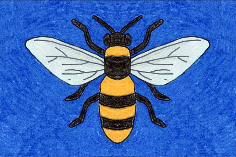 How to Draw a Bee