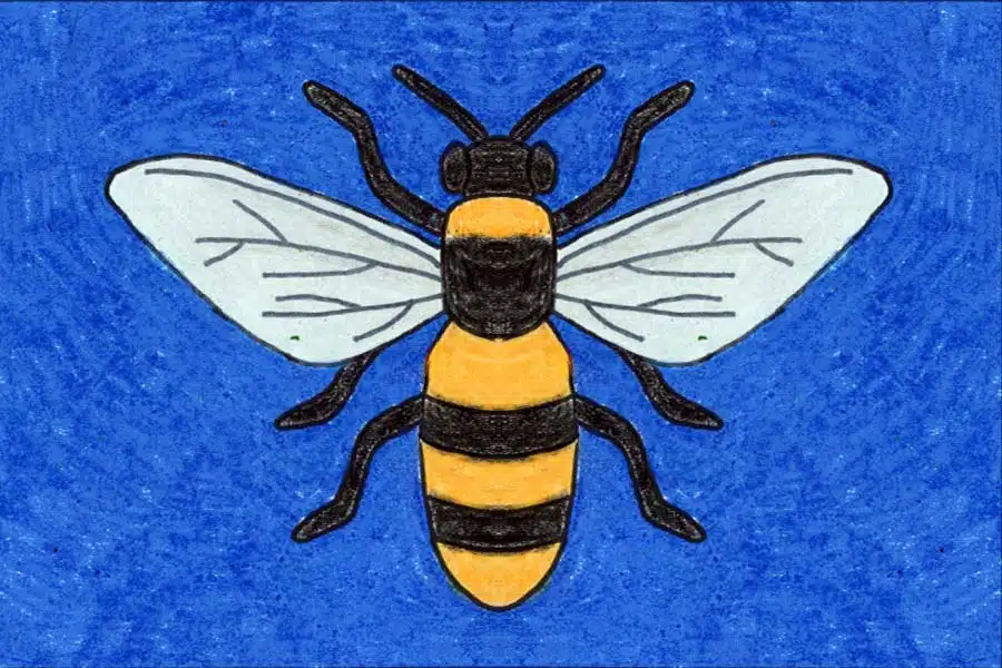 Easy How to Draw a Bee Tutorial and Bee Coloring Page