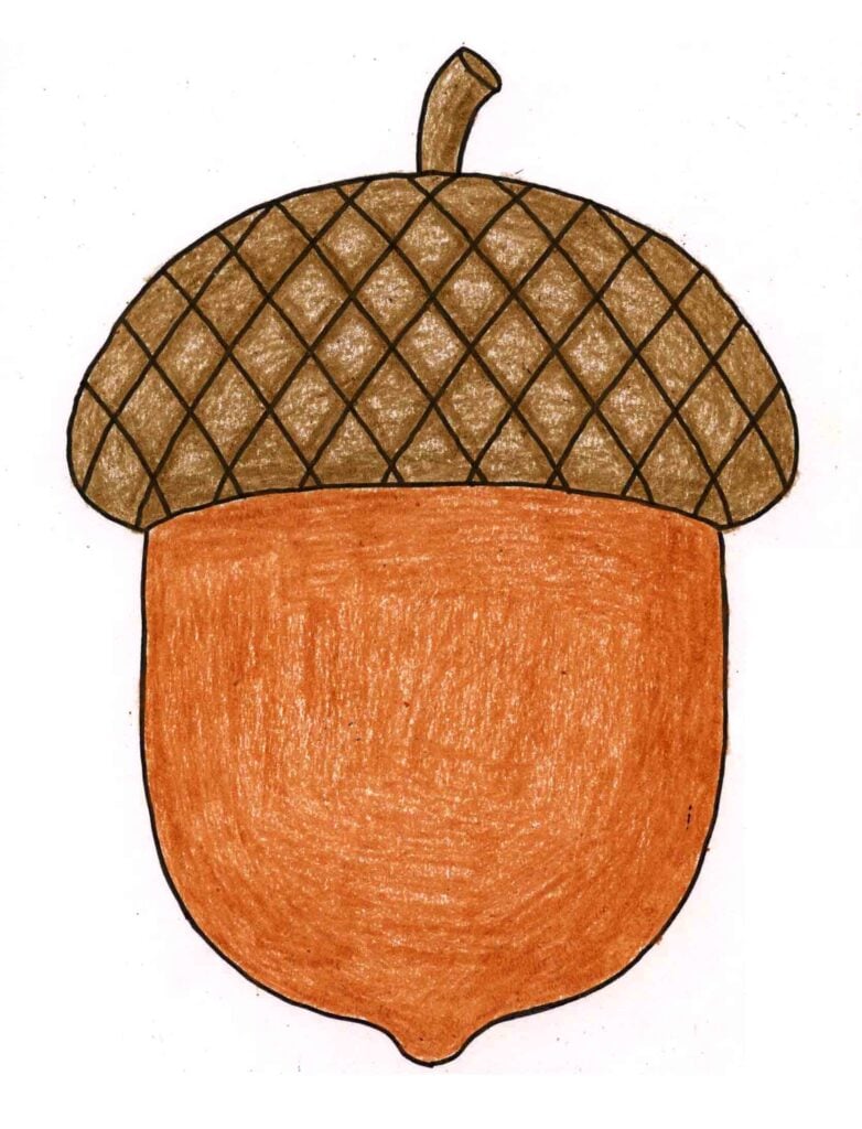 Finished acorn drawing showing fully colored example from the how to draw an acorn lesson