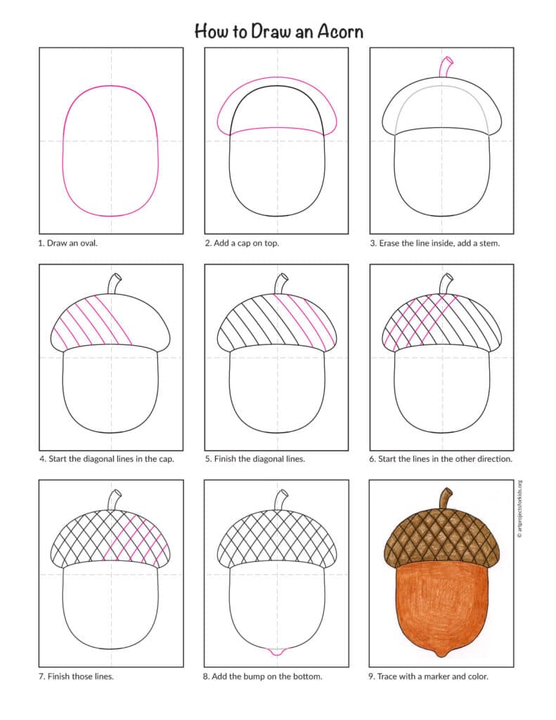 Step-by-step preview diagram of how to draw an acorn art lesson for kids