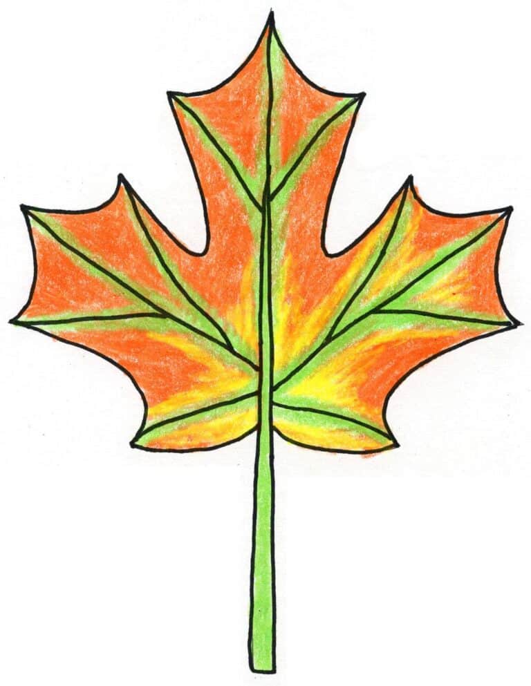 How to Draw a Maple Leaf: Easy Step-by-Step Art Lesson for Kids