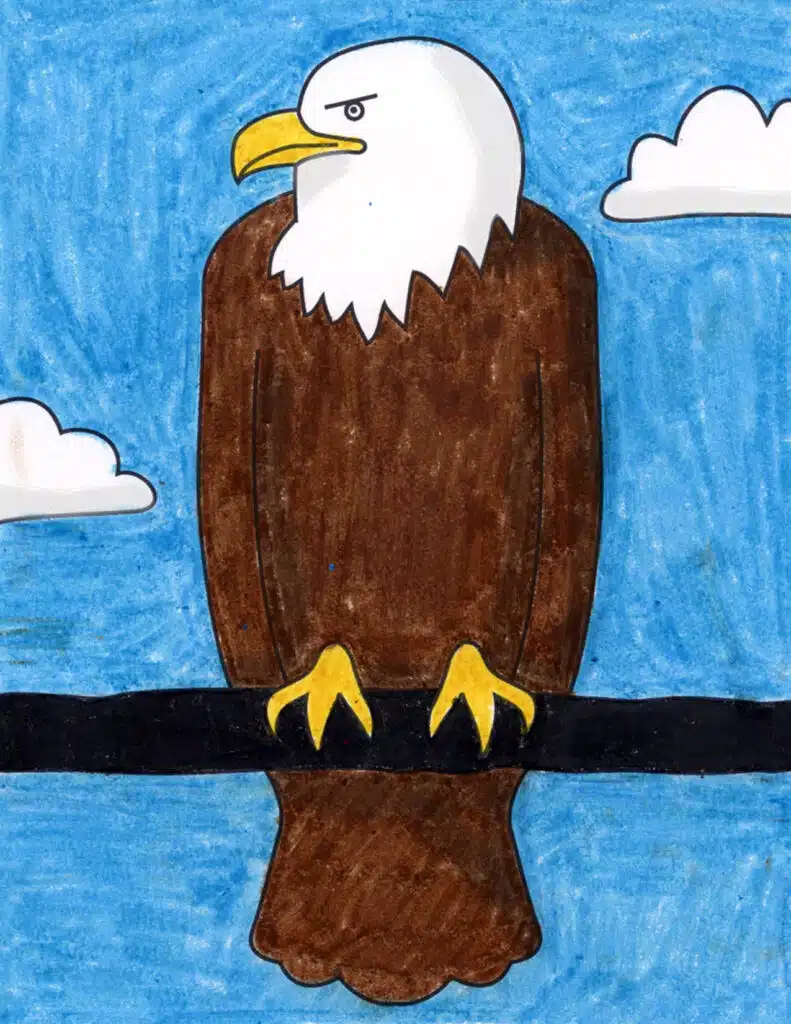 A Bald Eagle drawing, made with the help of an easy step by step tutorial.