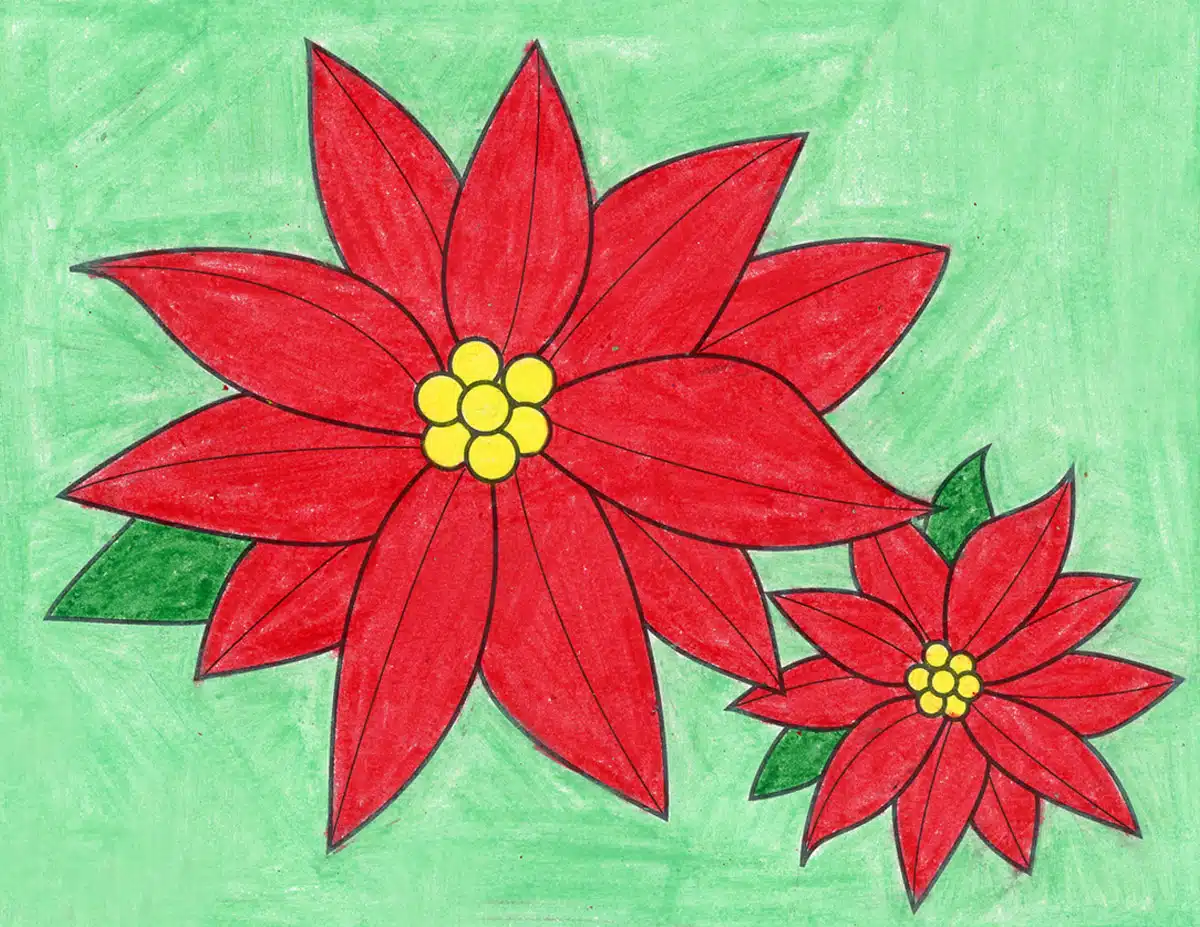 Easy How to Draw a Poinsettia Tutorial Video and Poinsettia Coloring Page