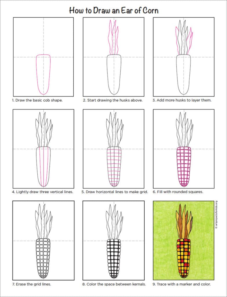A step by step tutorial for how to draw an easy ear of corn, also available as a free tutorial.
