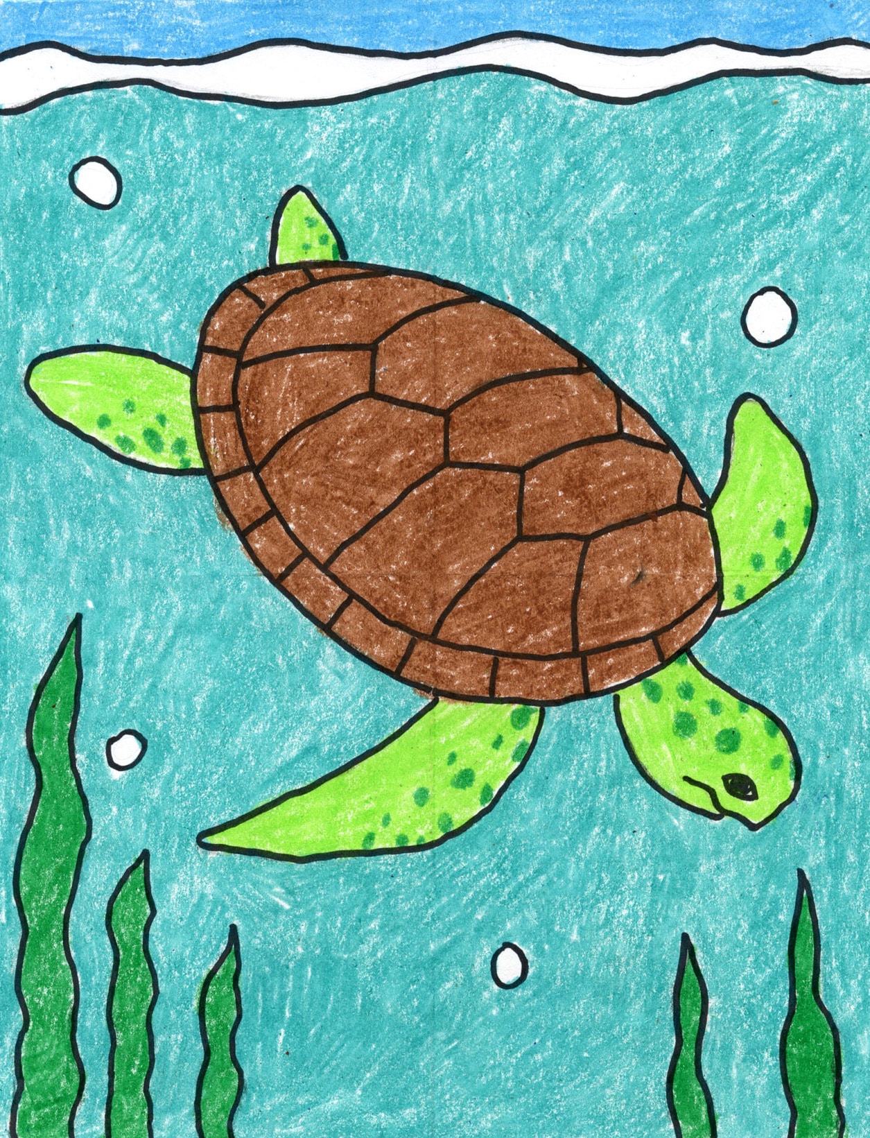 Drawing a Tortoise (Step by Step Tutorial) - Crafty Morning