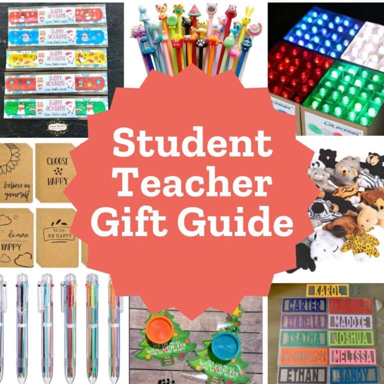 10 Easy Gifts for Students from Teacher: 2023 Christmas Gift Guide
