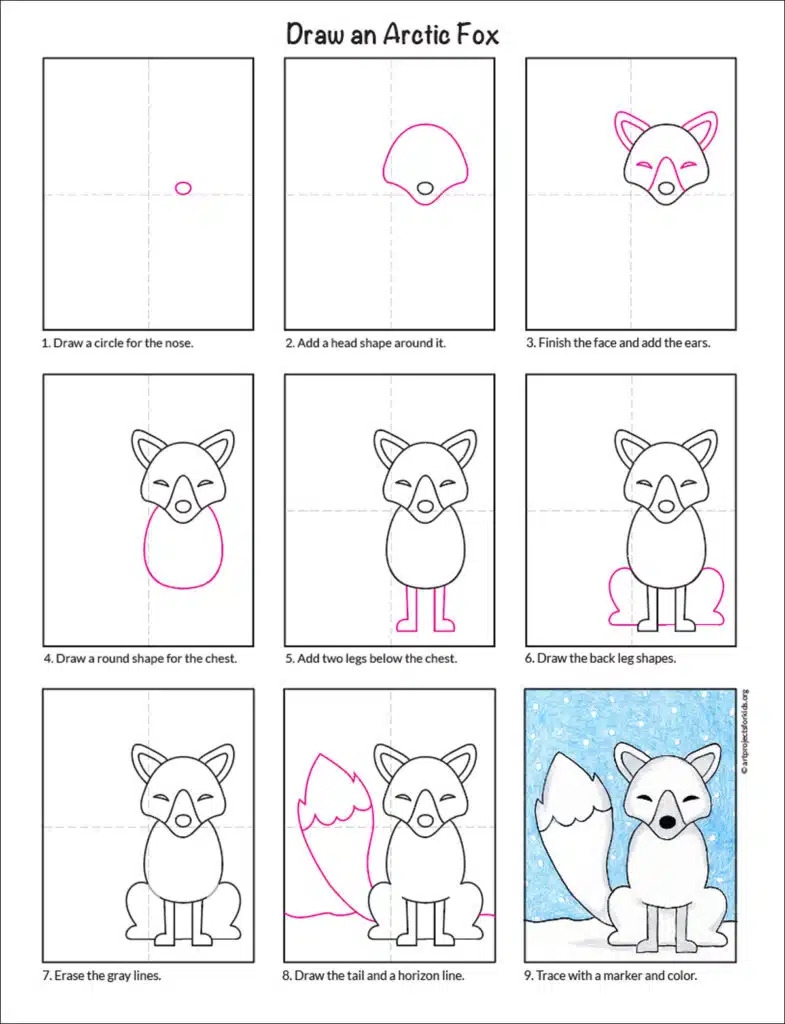 Easy How to Draw an Arctic Fox Tutorial, Arctic Fox Coloring Page