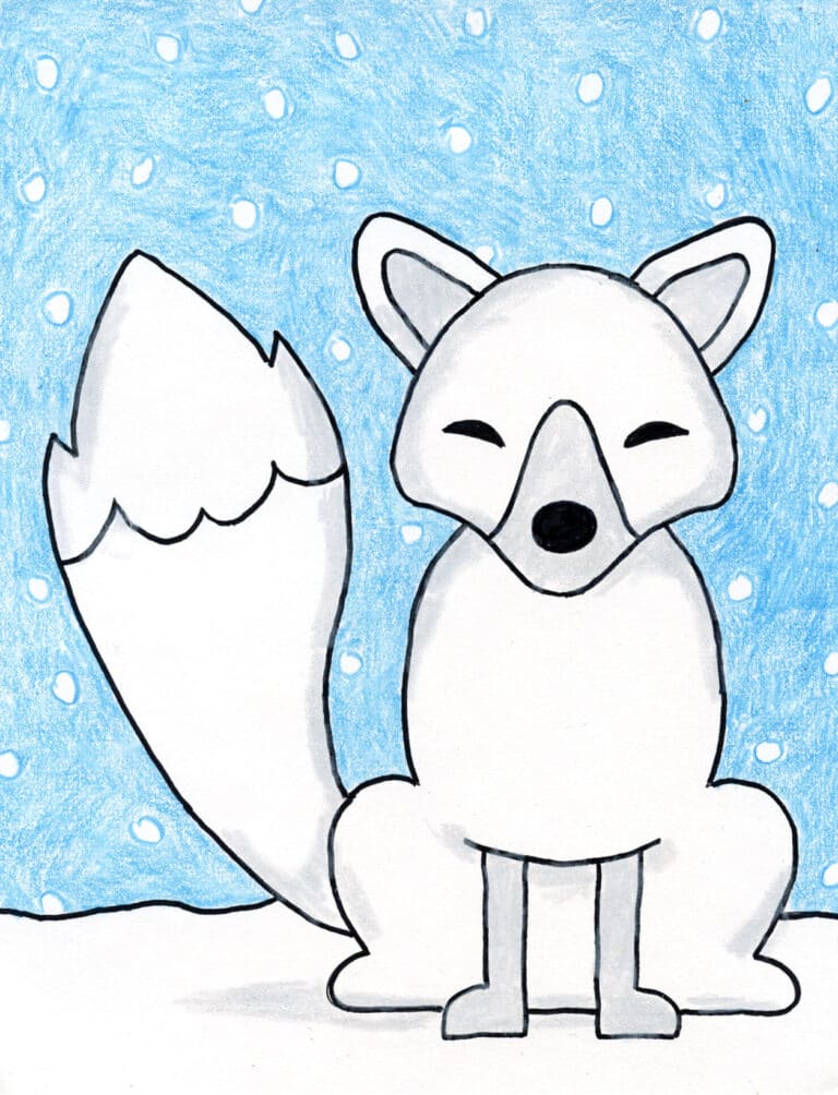 Easy How to Draw an Arctic Fox Tutorial and Arctic Fox Coloring Page