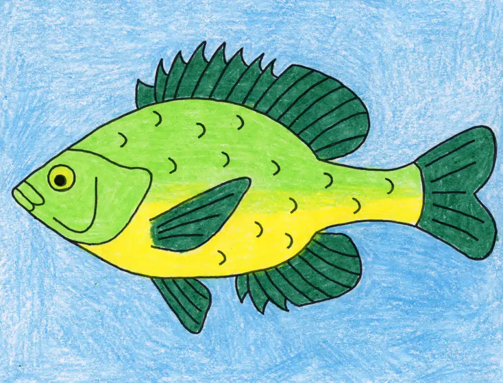 A drawing of a fish, made with the help of an easy step by step tutorial. 