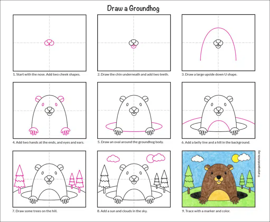 Draw a Groundhog diagram web — Activity Craft Holidays, Kids, Tips