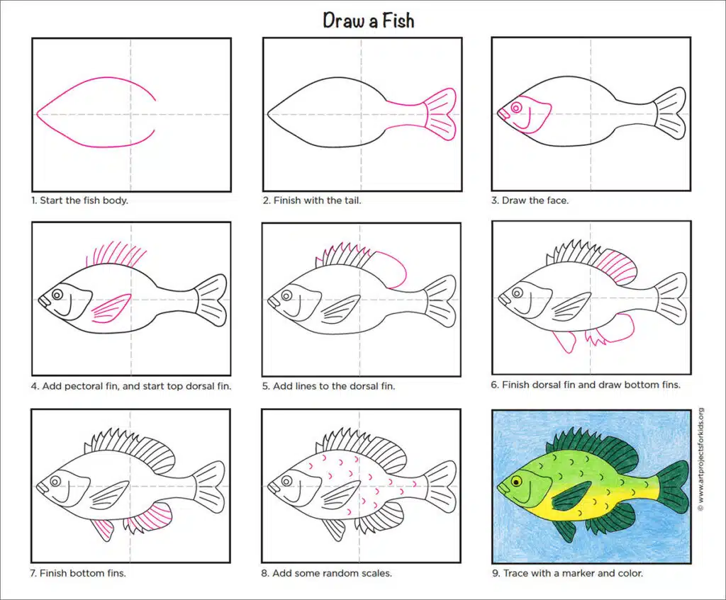A step by step tutorial for how to draw an easy Fish, also available as a free download.