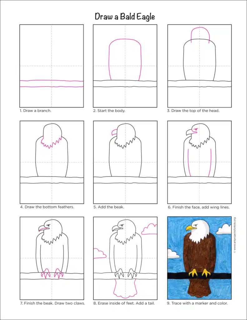 A step by step tutorial for how to draw an easy Bald Eagle, also available as a free download.