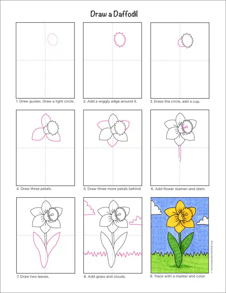 A step by step tutorial for how to draw an easy daffodil, also available as a free download.