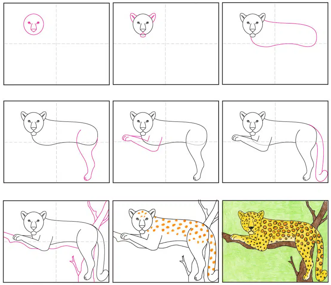 Leopard diagram HR.jpg — Activity Craft Holidays, Kids, Tips