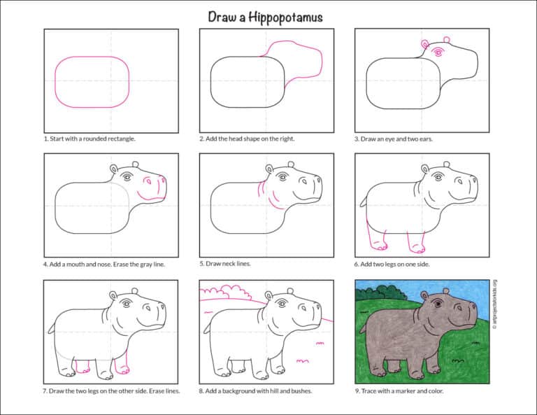 Easy How to Draw a Hippopotamus Tutorial Video & Coloring Page