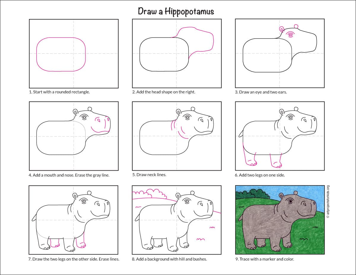 Easy How to Draw a Hippopotamus Tutorial Video & Coloring Page ...