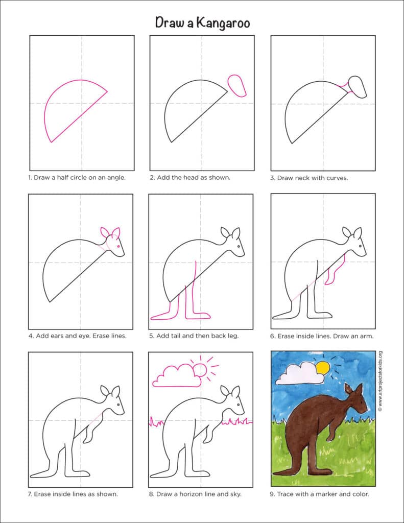 Preview of a step by step tutorial to draw an easy kangaroo. 