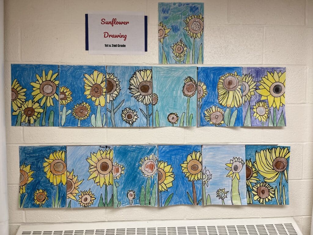 students drawings of sunflowers