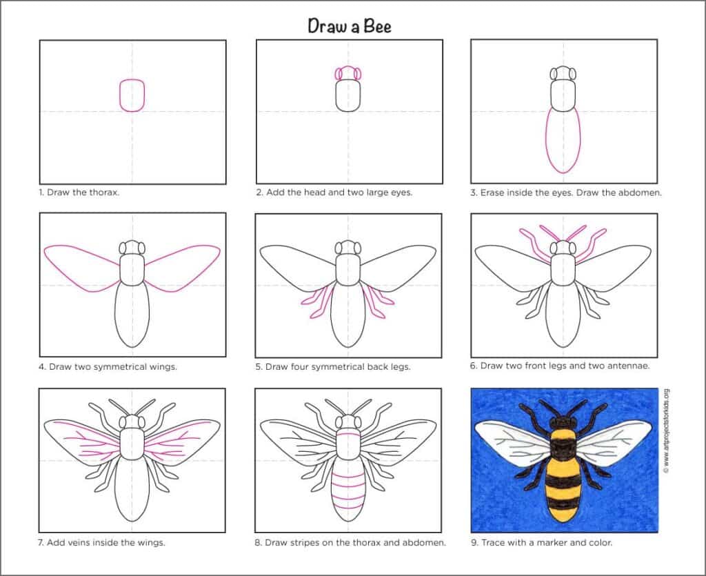 Bee Drawing Layout Easy How to Draw a Bee Tutorial and Bee Coloring Page