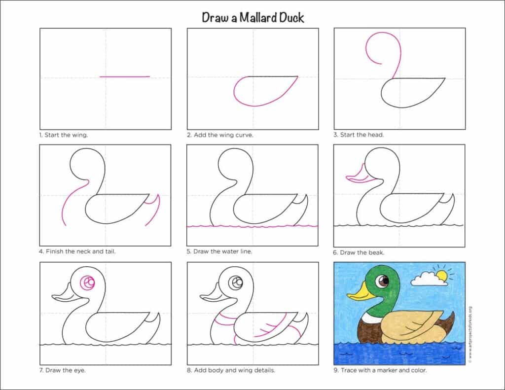 How to Draw a Duck Easy Step-by-Step Art Lesson for Kids