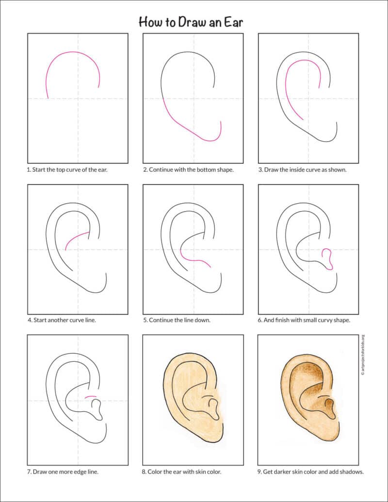 How To Draw An Ear Easy Step by Step Art Lesson
