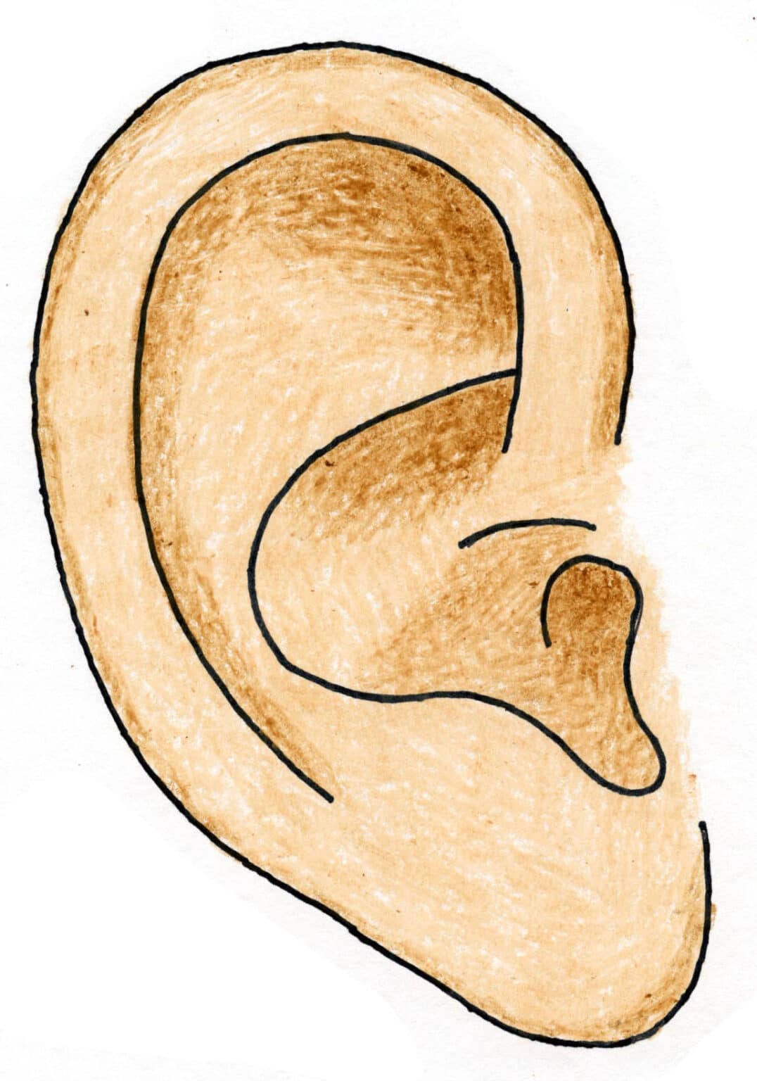 How to Draw an Ear: Easy Step-by-Step Art Lesson