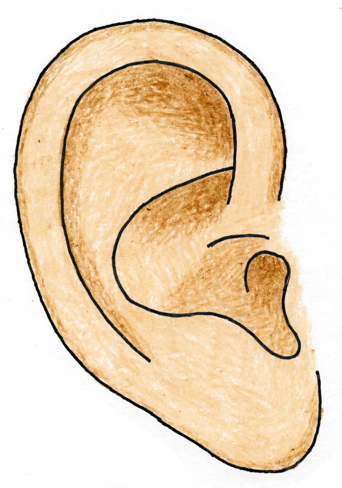 How to Draw an Ear: Easy Step-by-Step Art Lesson