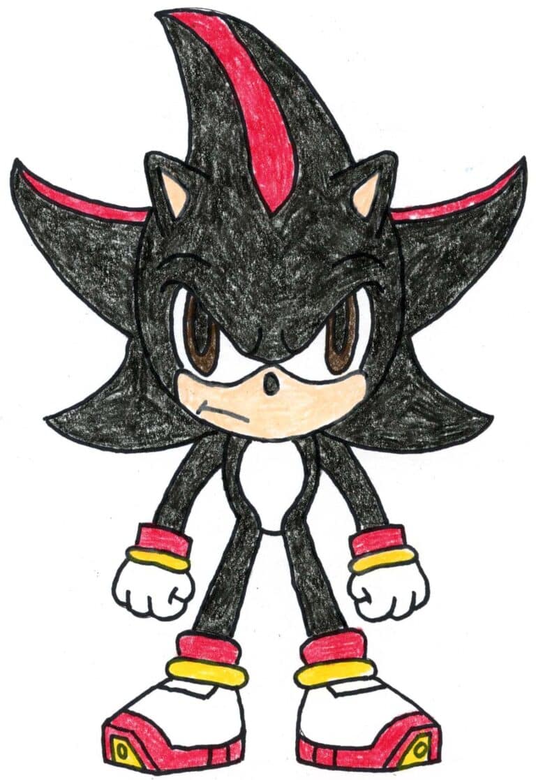 Completed drawing of Shadow the Hedgehog