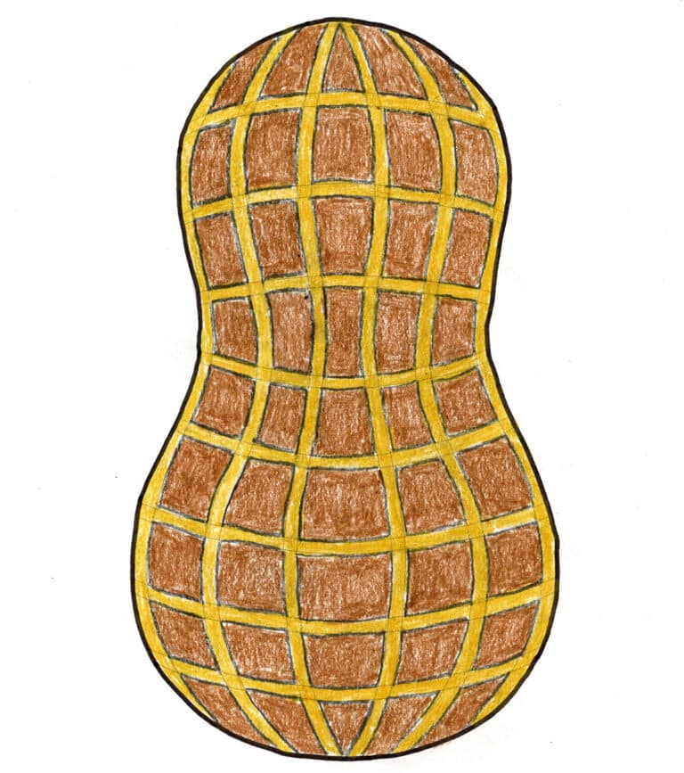 Peanut Drawing: Step-by-Step How to Art Lesson with Video