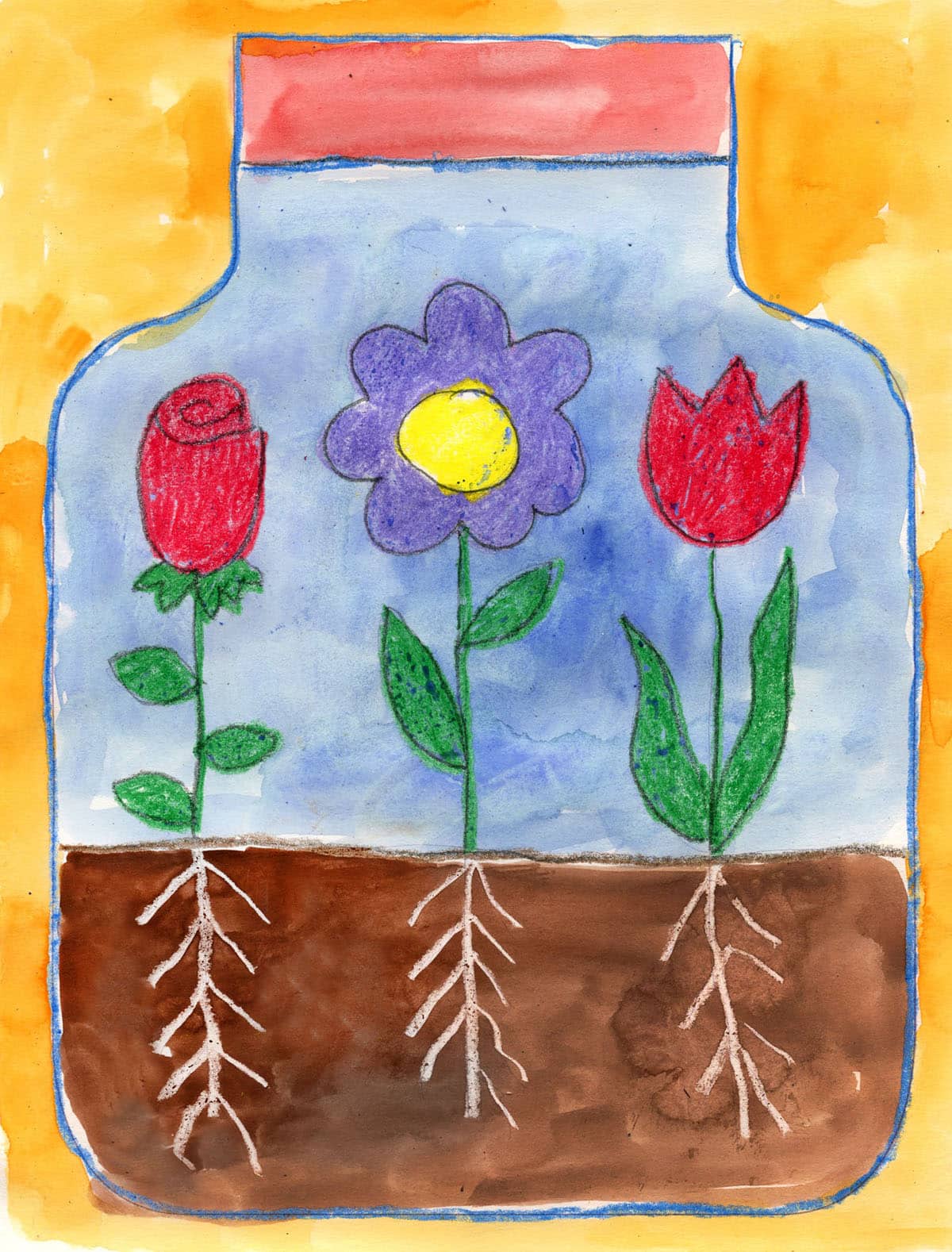 How to Draw a Terrarium: Easy Step-by-Step Art Lesson for Kids