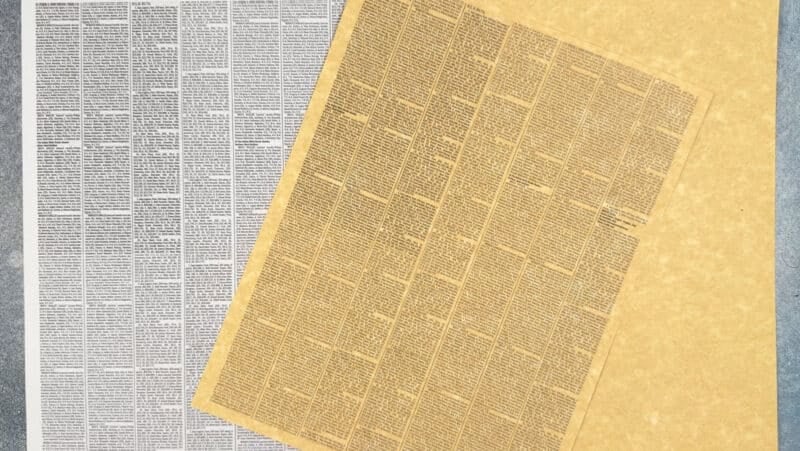 Open-and-Go Newsprint Pet Collage Mini Art Unit - Image 2