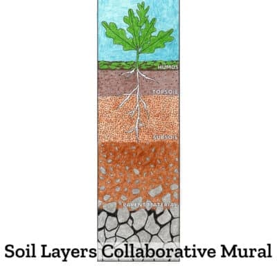 Soil Poster Collaborative Mural: 5 Soil Layers Diagram for Earth Science