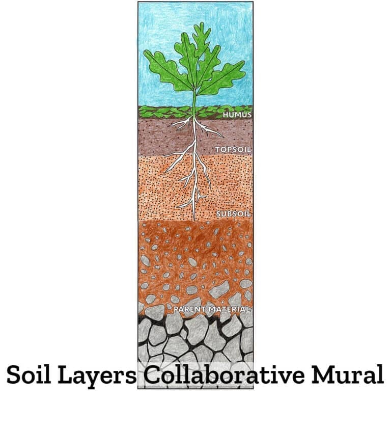 Soil Poster Collaborative Mural: 5 Soil Layers Diagram for Earth Science