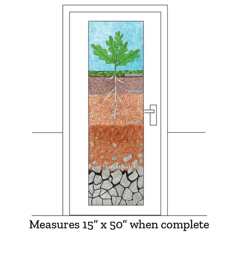 Soil Poster Collaborative Mural: 5 Soil Layers Diagram for Earth Science - Image 2